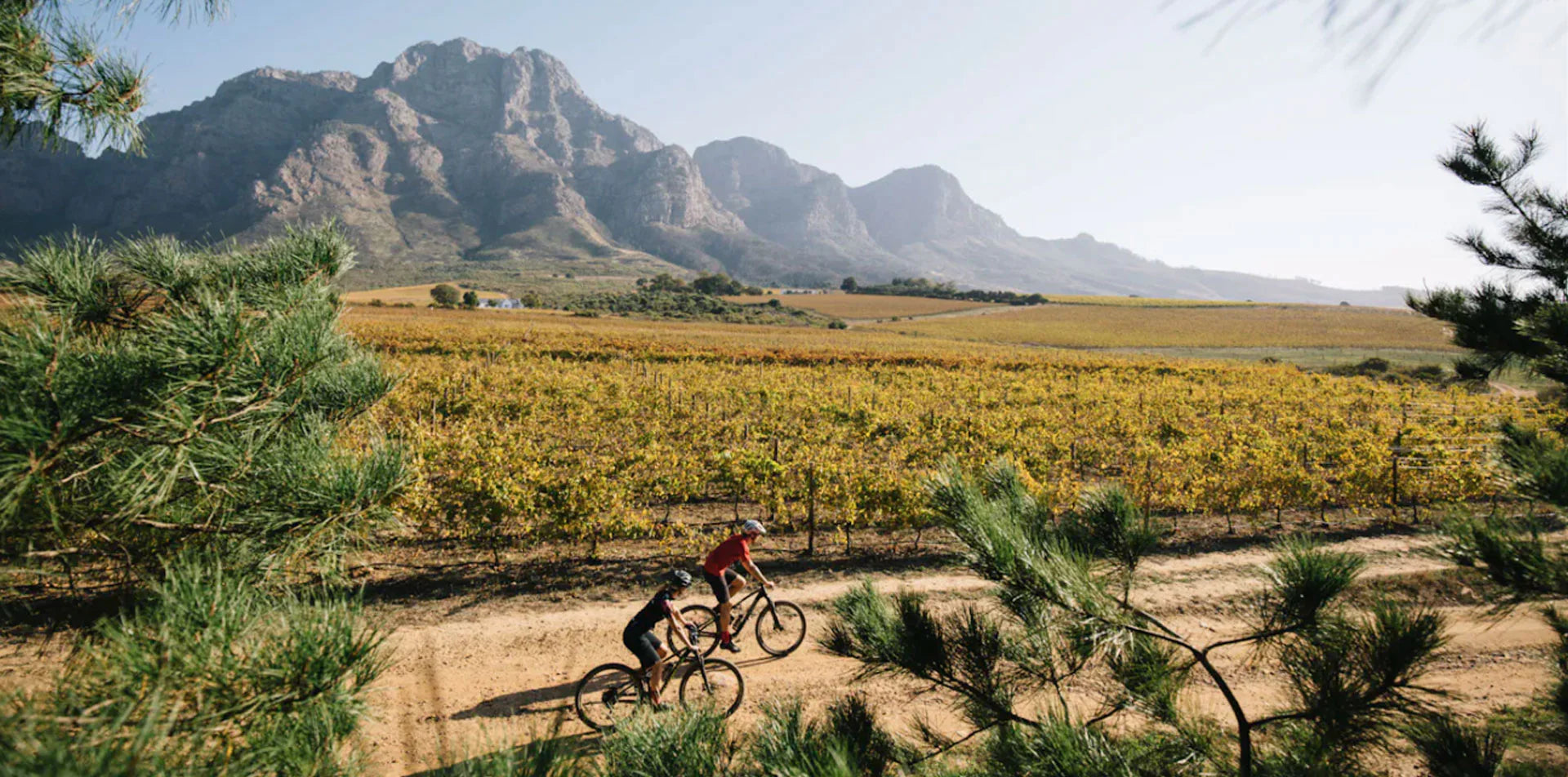 FAQ banner image: The Ultimate African Adventure FAQ's